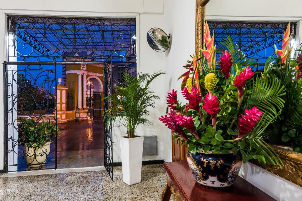 Galería