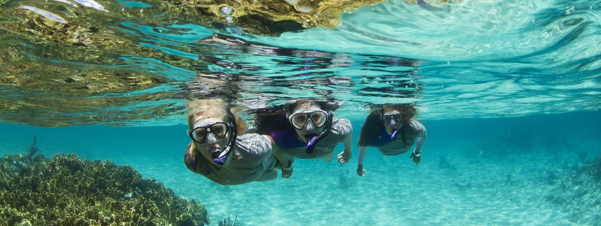 Tour Bahía Concha + Actividades