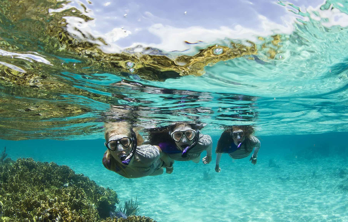 Tour Bahía Concha + Actividades