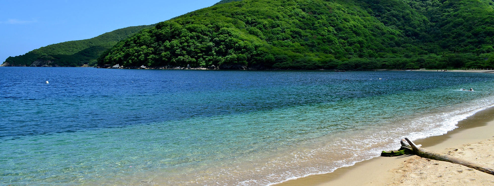 Tour Bahía Concha Con Almuerzo