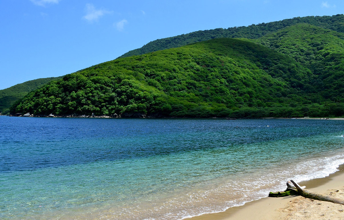Tour Bahía Concha Con Almuerzo