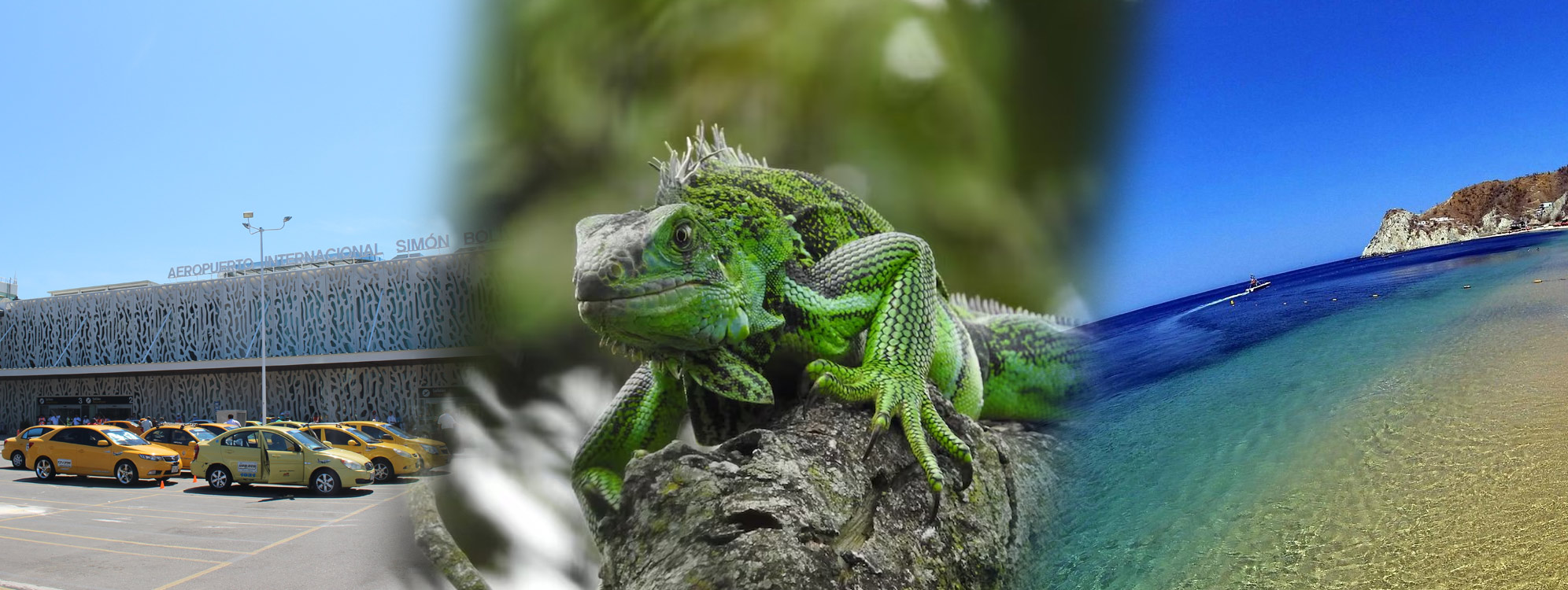 Transfer In-Out+ Tour Playa Blanca Con Almuerzo + Traslado al muelle sólo ida