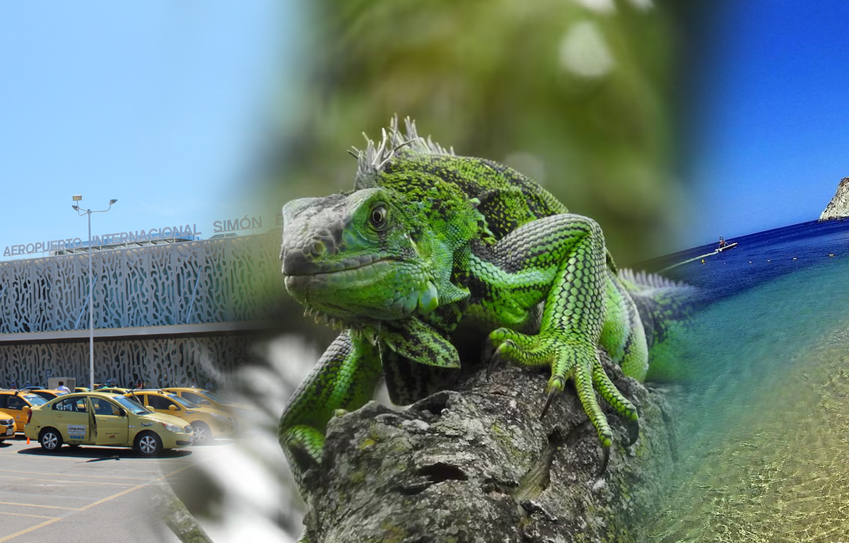 Transfer In-Out+ Tour Playa Blanca Con Almuerzo + Traslado al muelle sólo ida