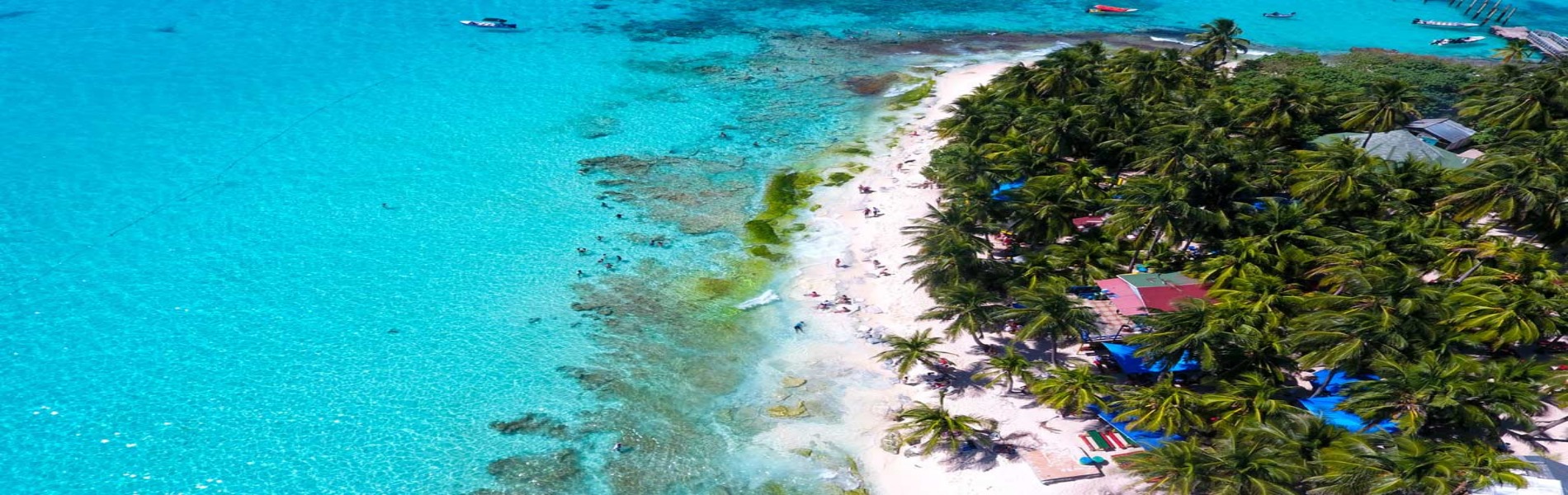 TOUR VIP ( Johnny Cay, Acuario, hayness cay, avistamiento de manglares)