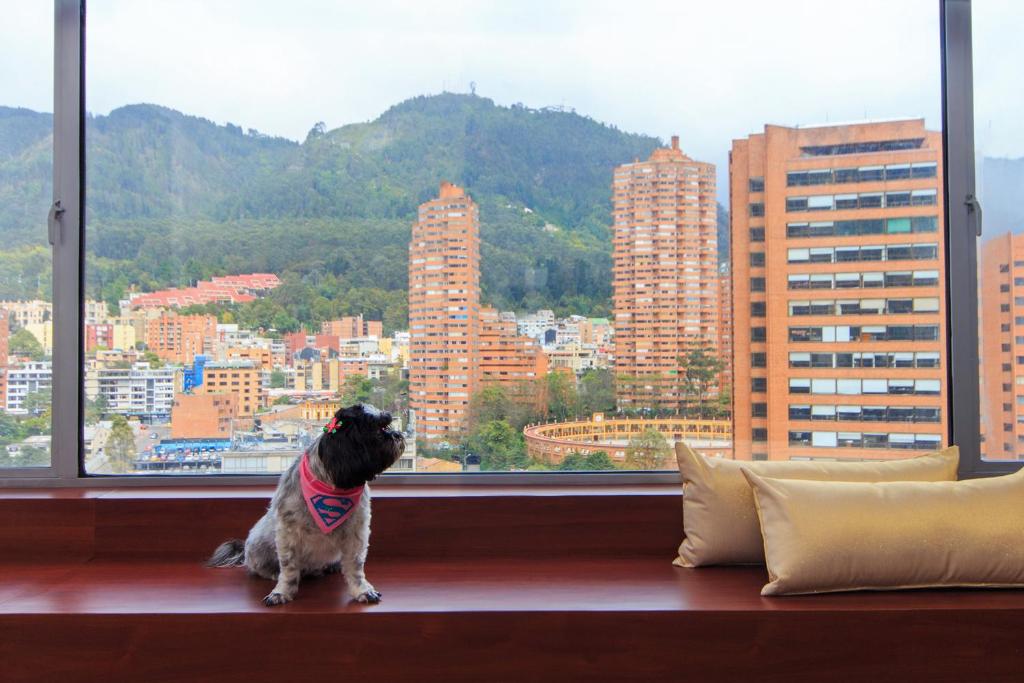 Galería
