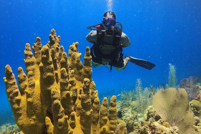 Mini Curso de Buceo