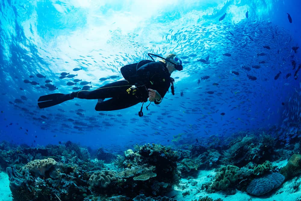 Buceo